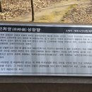 태백산경로당 네이버블로그