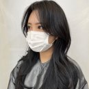 원엘리어헤어