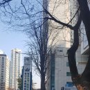 원효로1동 주민센터 이미지