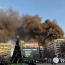 분당-240 이미지