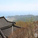 금산 Daum카페