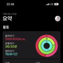 라니랜드
