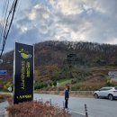 갤러리세런디피티