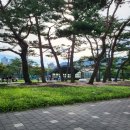 에코씨엘 | [원 유니버스 페스티벌 2025] DAY 2 찰리 푸스 공연 후기 🎶(빈지노·씨엘·분위기, 준비물·주의사항)