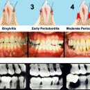 윈치과병원 이미지