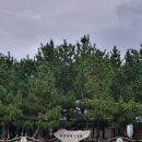 헬로피스 | 양양 하조대 조용하고 아늑한 여행 - 헬로피스 펜션 내돈내산 후기