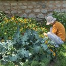 감동농장 이미지