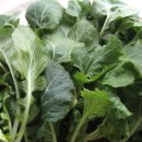 이병용 농장 이미지