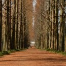 전라남도산림박물관 이미지