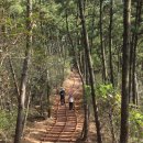 원산도콩사랑 | 보령 원산도 코끼리바위