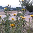 송선로-4 이미지