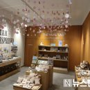 포포타운 이미지