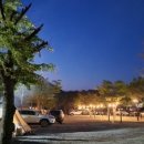 삼화리 동광 캠핑장 이미지