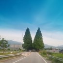 (주)아스티스포츠 | 섬진강희망랠리 대회후기 ※글,사진많음주의※