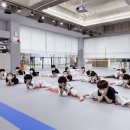 충의 K타이거즈 태권도장 네이버블로그