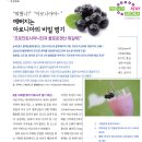 건강다이제스트 8월호 아로니아기사-예뻐지는 아로니아의 비밀 병기-프로안토시아니딘과 클로로겐산 뭐길래 이미지