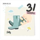 하프문베이 이미지