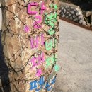 별비채펜션 이미지