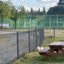 와스타디움 | 🐾 안산 와~스타디움 애견운동장 후기