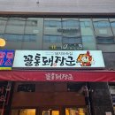 꼴통돼지 이미지