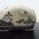 횡성실내체육관 이미지