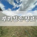 원스톱벌초 | 순창군벌초대행 순창벌초대행 순창파묘 순창묘지이장 문중 산소 완벽 정비
