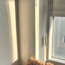 고졸 취뽀 일기(+취업성공수당, 전산회계 독학 합격후기)