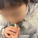 초전한상 이미지