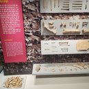 부산대학교 박물관 이미지