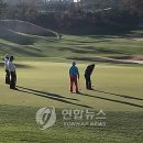 골프파트너 이미지