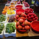 한라청과 이미지