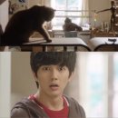 상상고양이 이미지