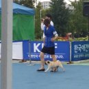 젬마 Daum카페