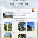 통나무숲속마을 | 제주 동쪽 요가, 나만 알고 싶은 숲속 통나무집 '요가베르데' 힐링 후기!