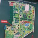 생생동물약국 이미지