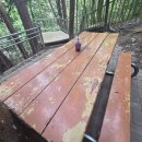 부산어린이대공원.좌측.산책.26.6.17/부산어린이대공원우측.산책.26.6.18. 이미지