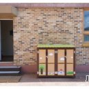 신진초등학교병설유치원 이미지