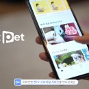 펫# 이미지