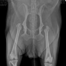 큐동물병원 이미지