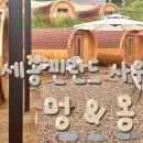 세종사우나 | [세종 여행] 세종에 핀란드 사우나가? | 세종 사우나 멍앤몽 후기 | 세종 가볼 만한 곳