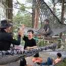 숲속자연유치원 이미지