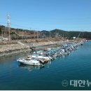 광양항정비