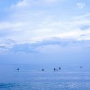 대명감자옹심이 이미지