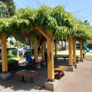 우묵들1공원 이미지