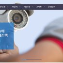 디에스텍