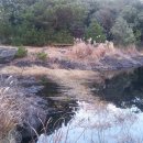 선흘리에 이미지