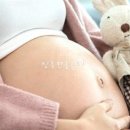 한올터치 네이버블로그