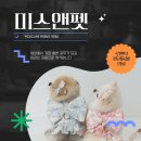 미스앤펫미스스텔라 | 반려견 의류, 착용감과 디테일이 중요한 이유, 공주풍 핸드메이드 의류 브랜드를 찾고 있다면 미스앤펫!