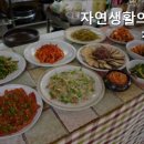 자연생활의집청도