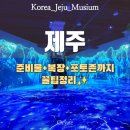 [뮤지엄] 제주 워터월드 완전정복｜실내 여행지 추천ㅣ포토존&amp;준비물